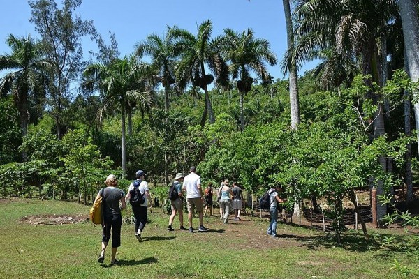 An Idyllic Day in the Countryside at the Las Terrazas National Reserve