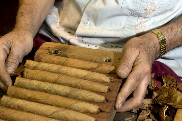 Visit a Working Cigar Factory